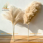 Real Pampas Grass Decor Natural Dried Flowers Plants Wedding Flowers Dry Flower Bouquet Fluffy Lovely for Holiday Home Decor